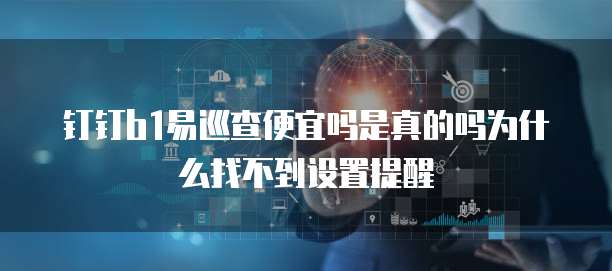 钉钉b1易巡查便宜吗是真的吗为什么找不到设置提醒