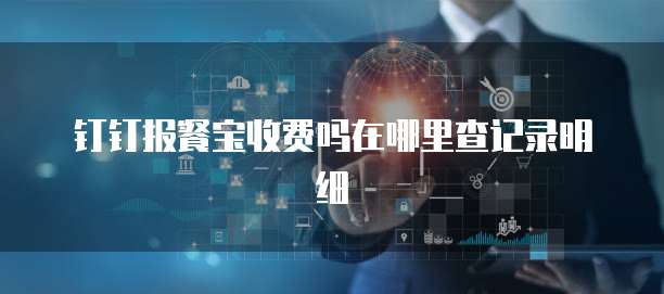 钉钉报餐宝收费吗在哪里查记录明细