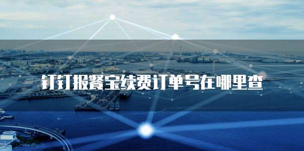 钉钉报餐宝续费订单号在哪里查