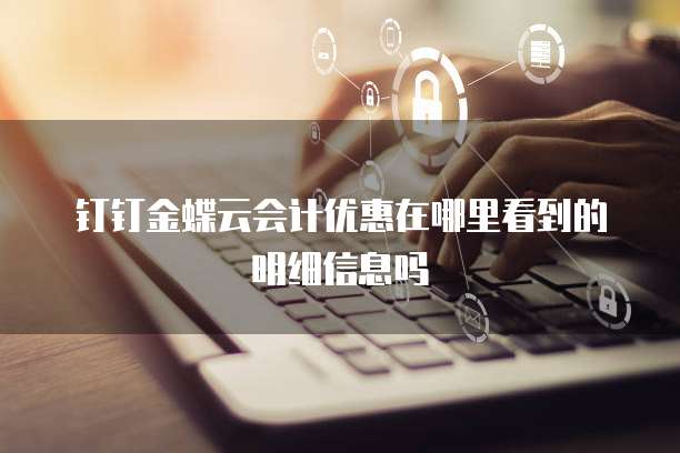 钉钉金蝶云会计优惠在哪里看到的明细信息吗