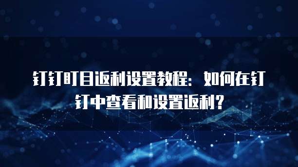 钉钉盯目返利设置教程:如何在钉钉中查看和设置返利?