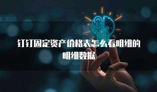 钉钉固定资产价格表怎么看明细的明细数据