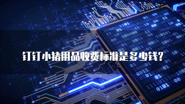 钉钉小猪用品收费标准是多少钱？