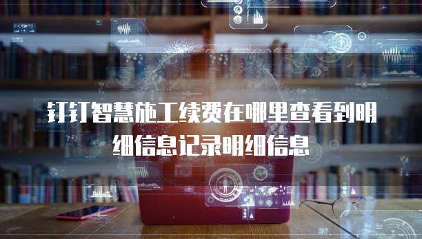 钉钉智慧施工续费在哪里查看到明细信息记录明细信息