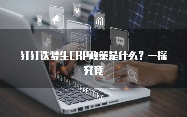 钉钉迭梦生ERP政策是什么?一探究竟