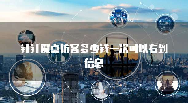 钉钉魔点访客多少钱一次可以看到信息