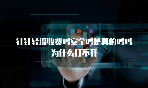 钉钉轻流收费吗安全吗是真的吗吗为什么打不开