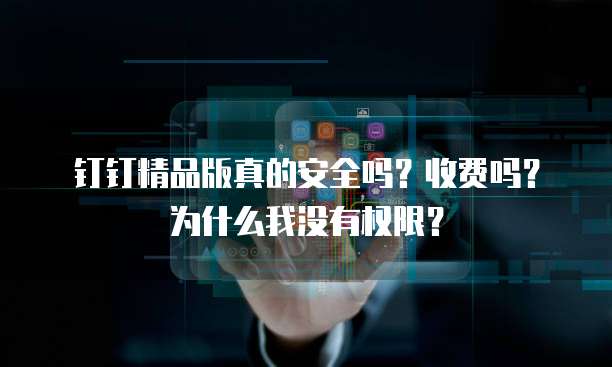 钉钉精品版真的安全吗？收费吗？为什么我没有权限？