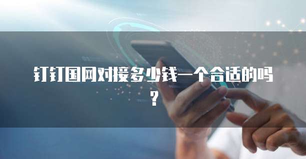 钉钉国网对接多少钱一个合适的吗?
