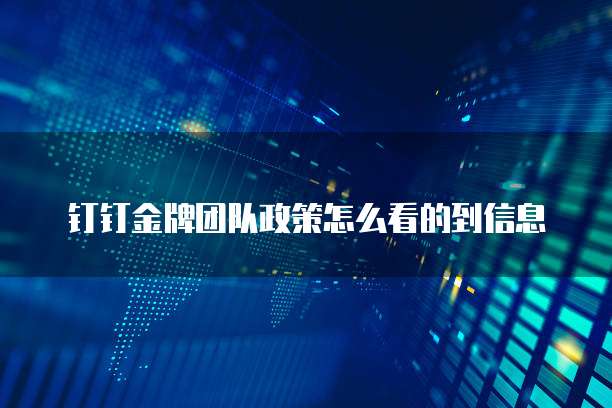 钉钉金牌团队政策怎么看的到信息