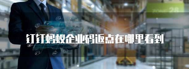 钉钉蚂蚁企业码返点在哪里看到