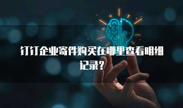 钉钉企业寄件购买在哪里查看明细记录?