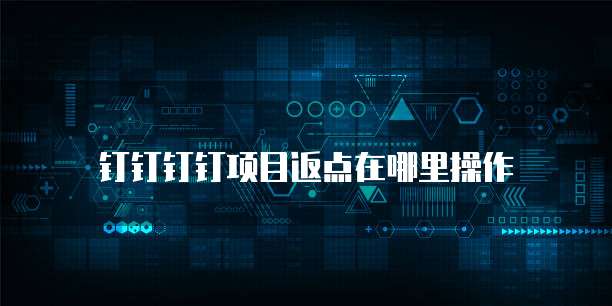 钉钉钉钉项目返点在哪里操作