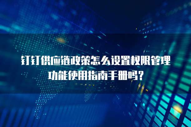 钉钉供应链政策怎么设置权限管理功能使用指南手册吗?