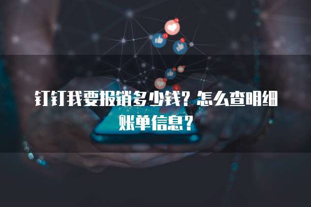 钉钉我要报销多少钱?怎么查明细账单信息?