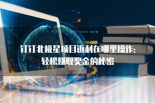 钉钉北极星项目返利在哪里操作:轻松赚取奖金的秘密