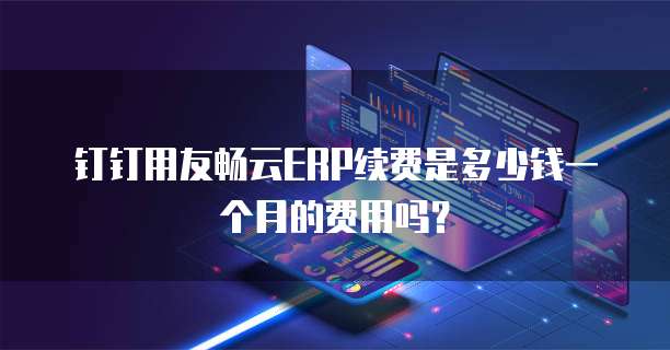 钉钉用友畅云ERP续费是多少钱一个月的费用吗?