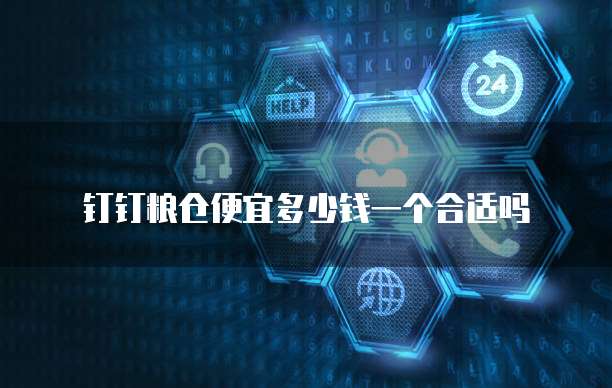 钉钉粮仓便宜多少钱一个合适吗