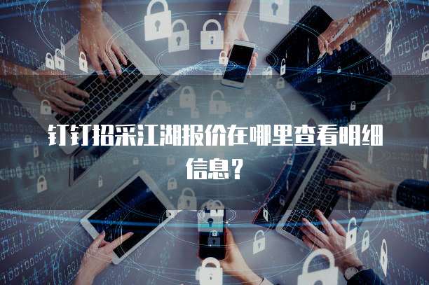 钉钉招采江湖报价在哪里查看明细信息？