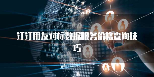 钉钉用友对标数据服务价格查询技巧