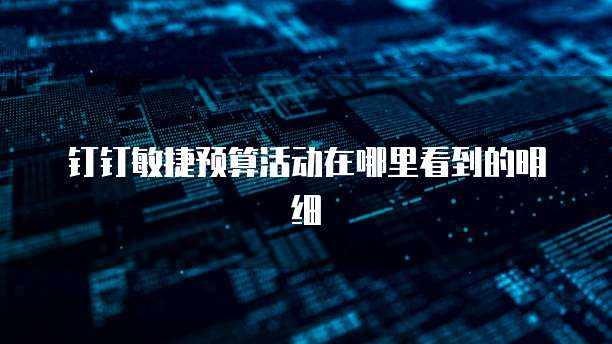 钉钉敏捷预算活动在哪里看到的明细