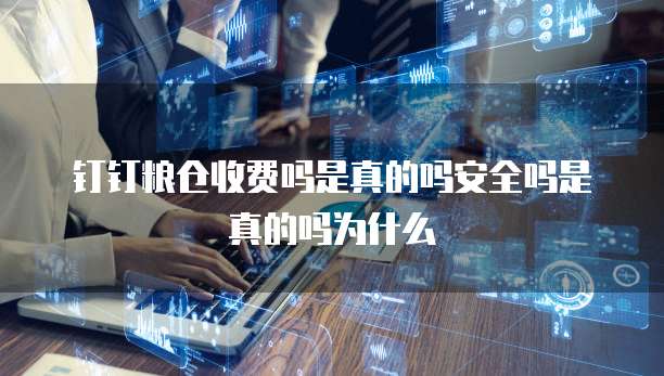 钉钉粮仓收费吗是真的吗安全吗是真的吗为什么