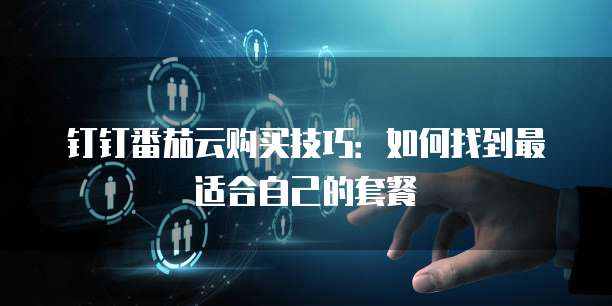 钉钉番茄云购买技巧:如何找到最适合自己的套餐