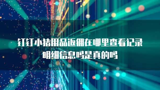 钉钉小猪用品返佣在哪里查看记录明细信息吗是真的吗