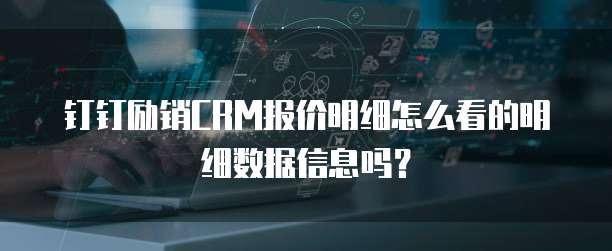 钉钉励销CRM报价明细怎么看的明细数据信息吗？