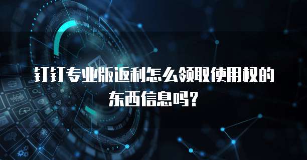 钉钉专业版返利怎么领取使用权的东西信息吗?