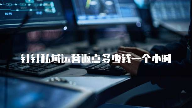 钉钉私域运营返点多少钱一个小时