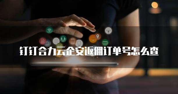 钉钉合力云企安返佣订单号怎么查