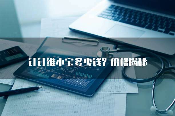 钉钉维小宝多少钱？价格揭秘