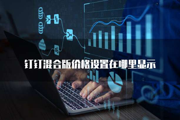 钉钉混合版价格设置在哪里显示