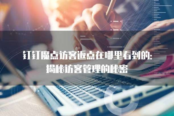钉钉魔点访客返点在哪里看到的:揭秘访客管理的秘密