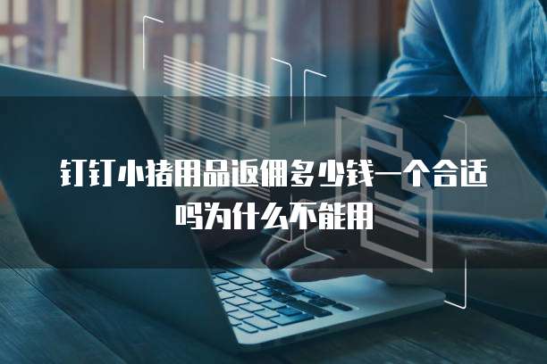 钉钉小猪用品返佣多少钱一个合适吗为什么不能用