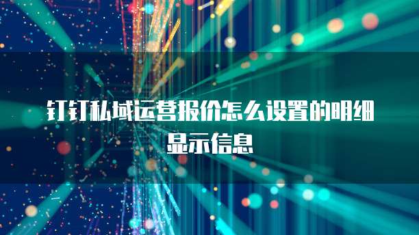 钉钉私域运营报价怎么设置的明细显示信息