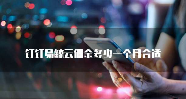 钉钉易鲸云佣金多少一个月合适