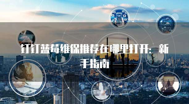 钉钉蓝莓维保推荐在哪里打开:新手指南
