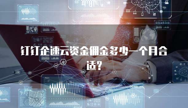 钉钉企速云资金佣金多少一个月合适?