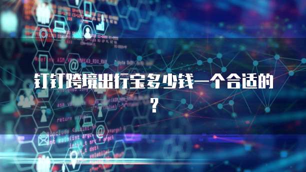 钉钉跨境出行宝多少钱一个合适的?