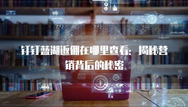 钉钉蓝湖返佣在哪里查看:揭秘营销背后的秘密