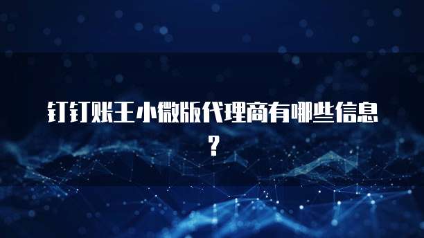 钉钉账王小微版代理商有哪些信息？