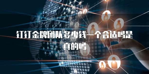 钉钉金牌团队多少钱一个合适吗是真的吗