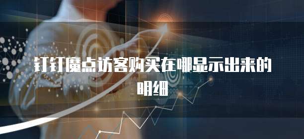钉钉魔点访客购买在哪显示出来的明细
