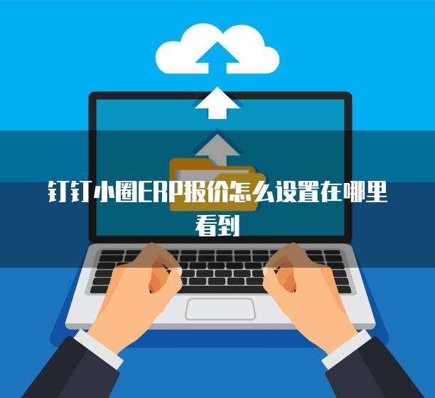 钉钉小圈ERP报价怎么设置在哪里看到