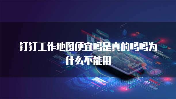 钉钉工作地图便宜吗是真的吗吗为什么不能用