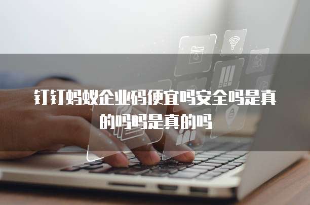 钉钉蚂蚁企业码便宜吗安全吗是真的吗吗是真的吗