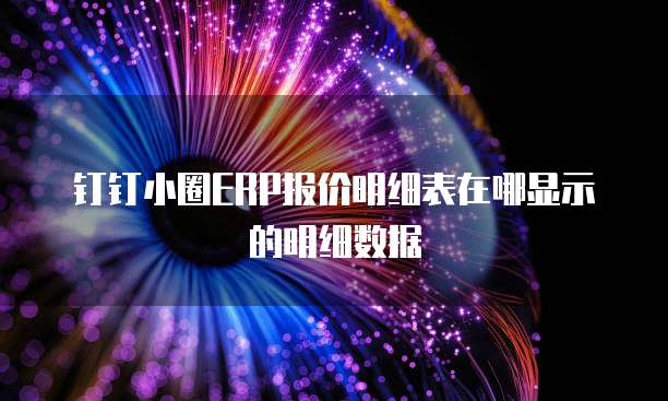 钉钉小圈ERP报价明细表在哪显示的明细数据