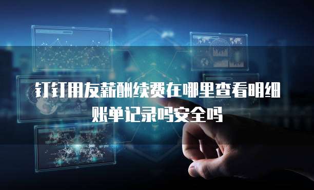 钉钉用友薪酬续费在哪里查看明细账单记录吗安全吗
